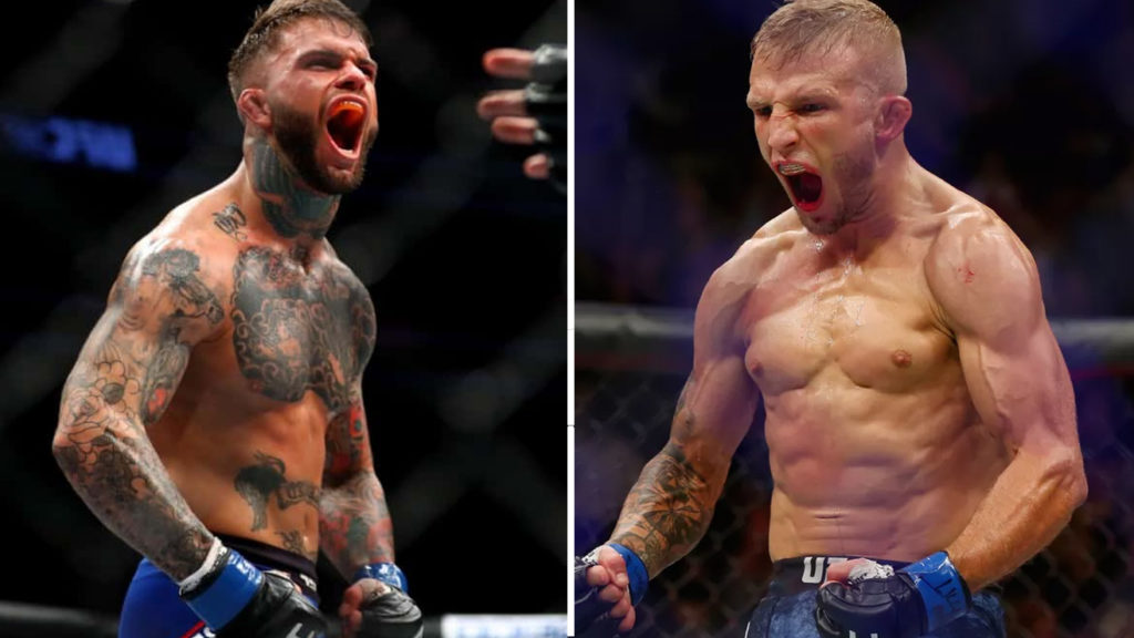 Tj Dillashaw On Cody Garbrandt Rematch I Love Getting Rich For