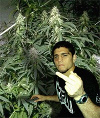 diaz_weed_1.jpg