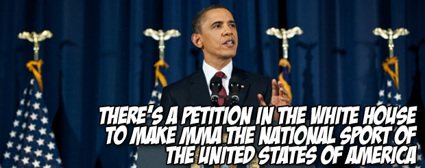 There's a petition in the White House to make MMA the national sport of the United States of America