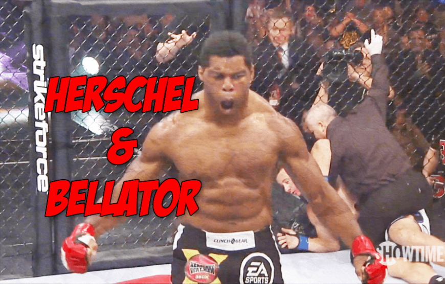 Herschel Walker MMA