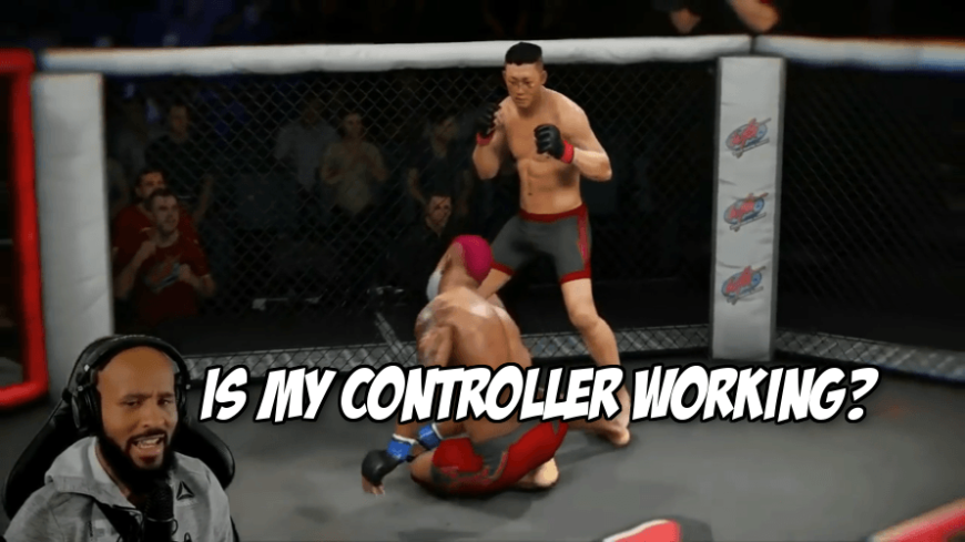 Mighty Mouse vs EA UFC 3