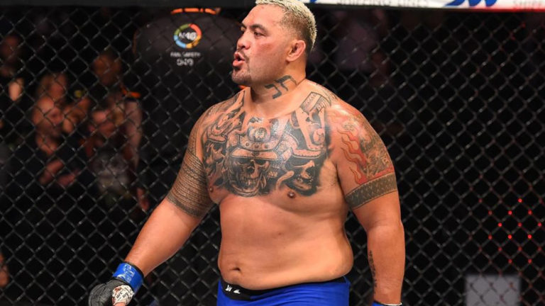 Mark Hunt's Blonde Hair: The Evolution of the UFC Fighter's Iconic Hairstyle - wide 1