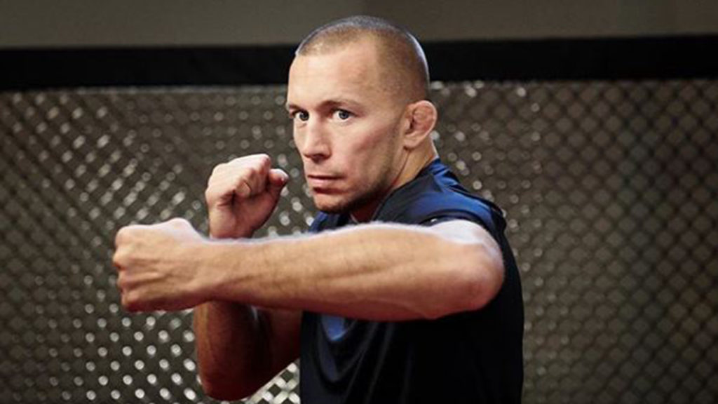 georges st pierre the way of the fight