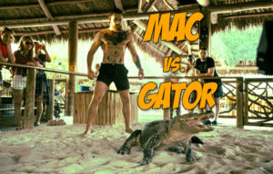 Conor McGregor vs. Alligator