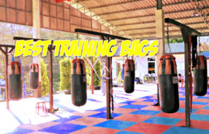 5 Best Training Bags mma