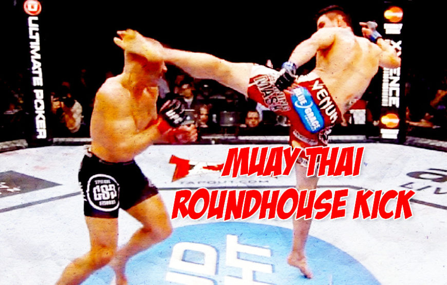 How To Do A Muay Thai Roundhouse Kick