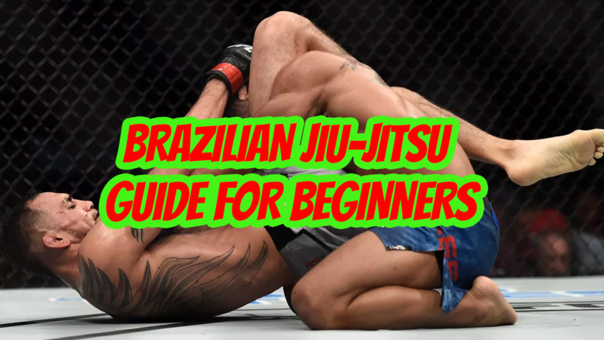 Brazilian Jiu Jitsu Guide