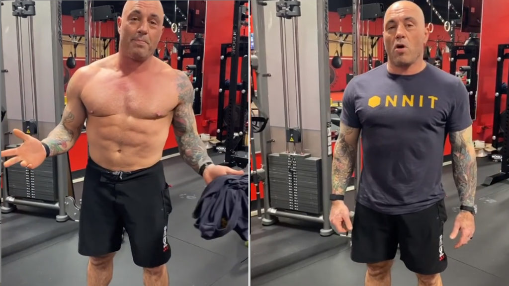 Joe Rogan Reveals Body Transformation Following Carnivore Diet MiddleEasy