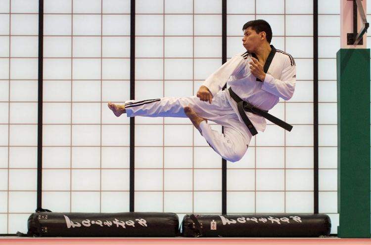 Taekwondo Martial Arts