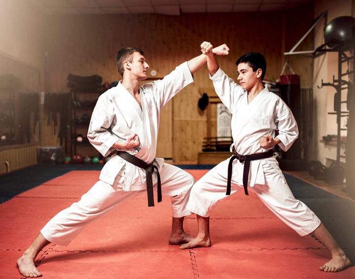 Martial Arts Practice