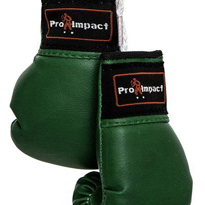 Pro Impact Mini Boxing Gloves