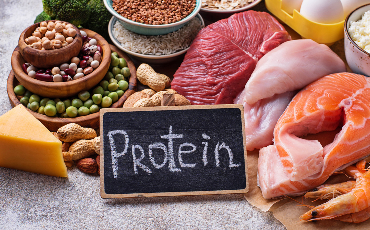 Alimentos mas ricos en proteina