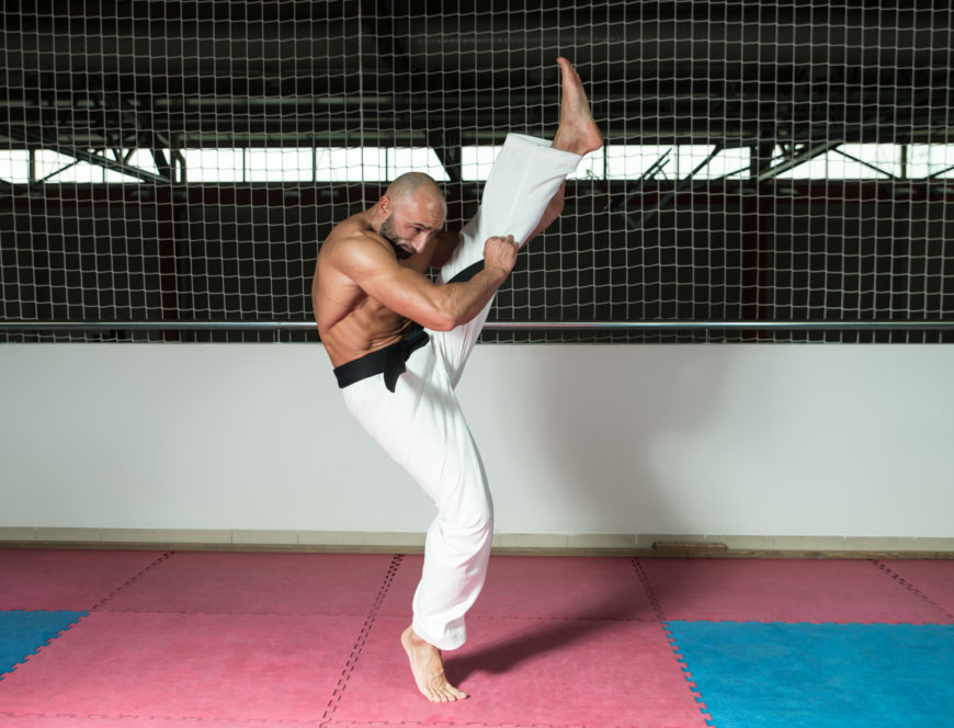 Taekwondo Fighter Expert