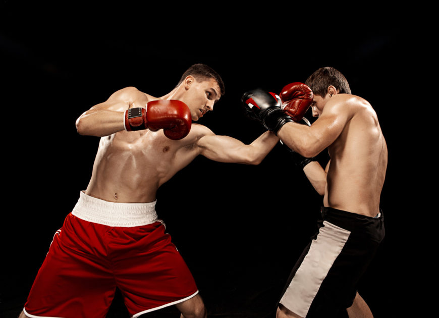 Boxer Boxing