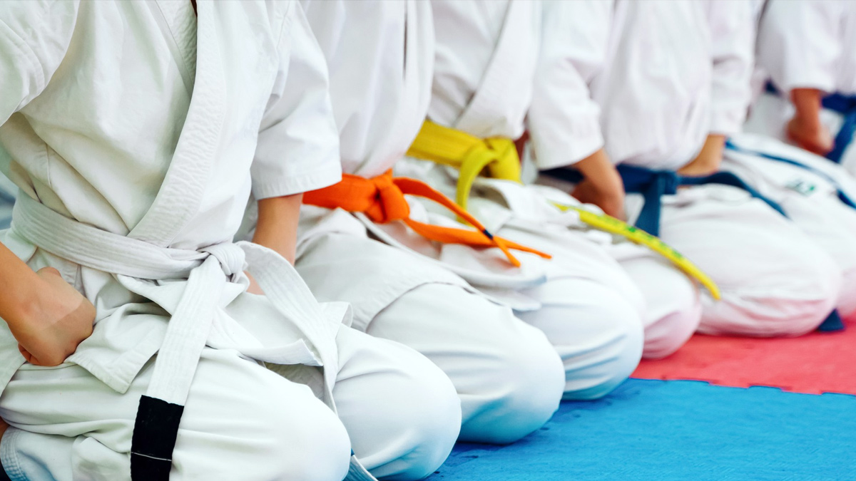 karate belts colours in order