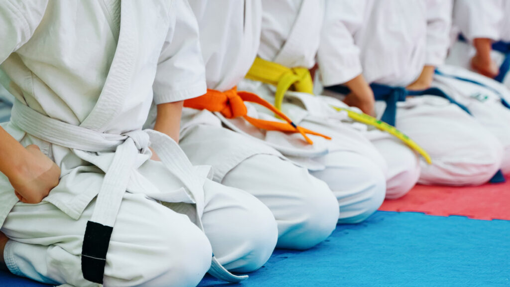 Martial Arts Belts, Their Colors, and How They Rank MiddleEasy