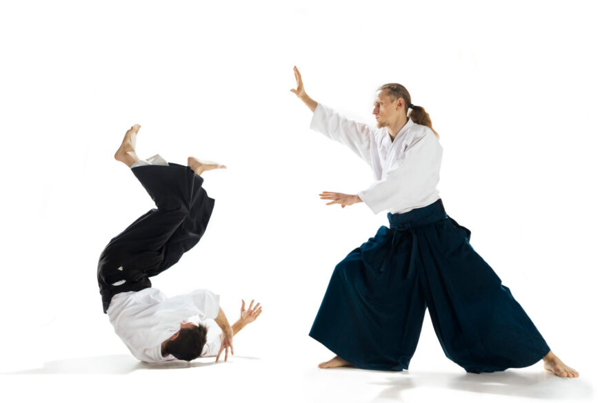 Aikido Training