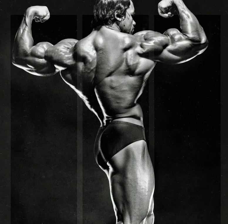 Arnold Schwarzenegger Back Pose