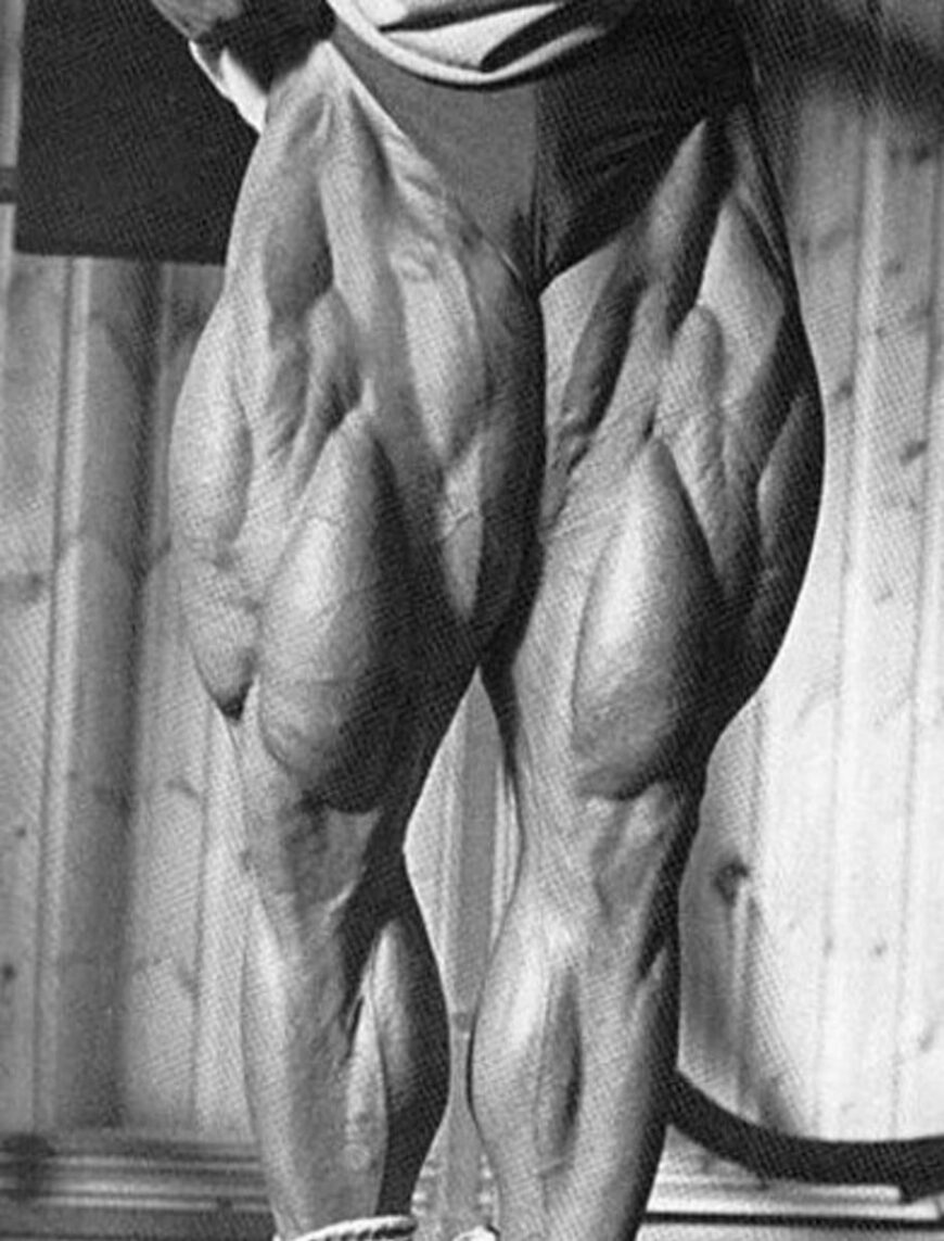 Tom Platz Legs