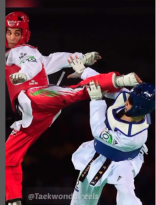 Players displaying Taekwondo Kick