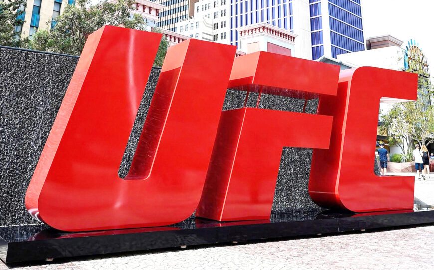 UFC Events Guide