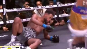 Anthony Taylor Ko’d Anderson Silva’s Son Gabriel