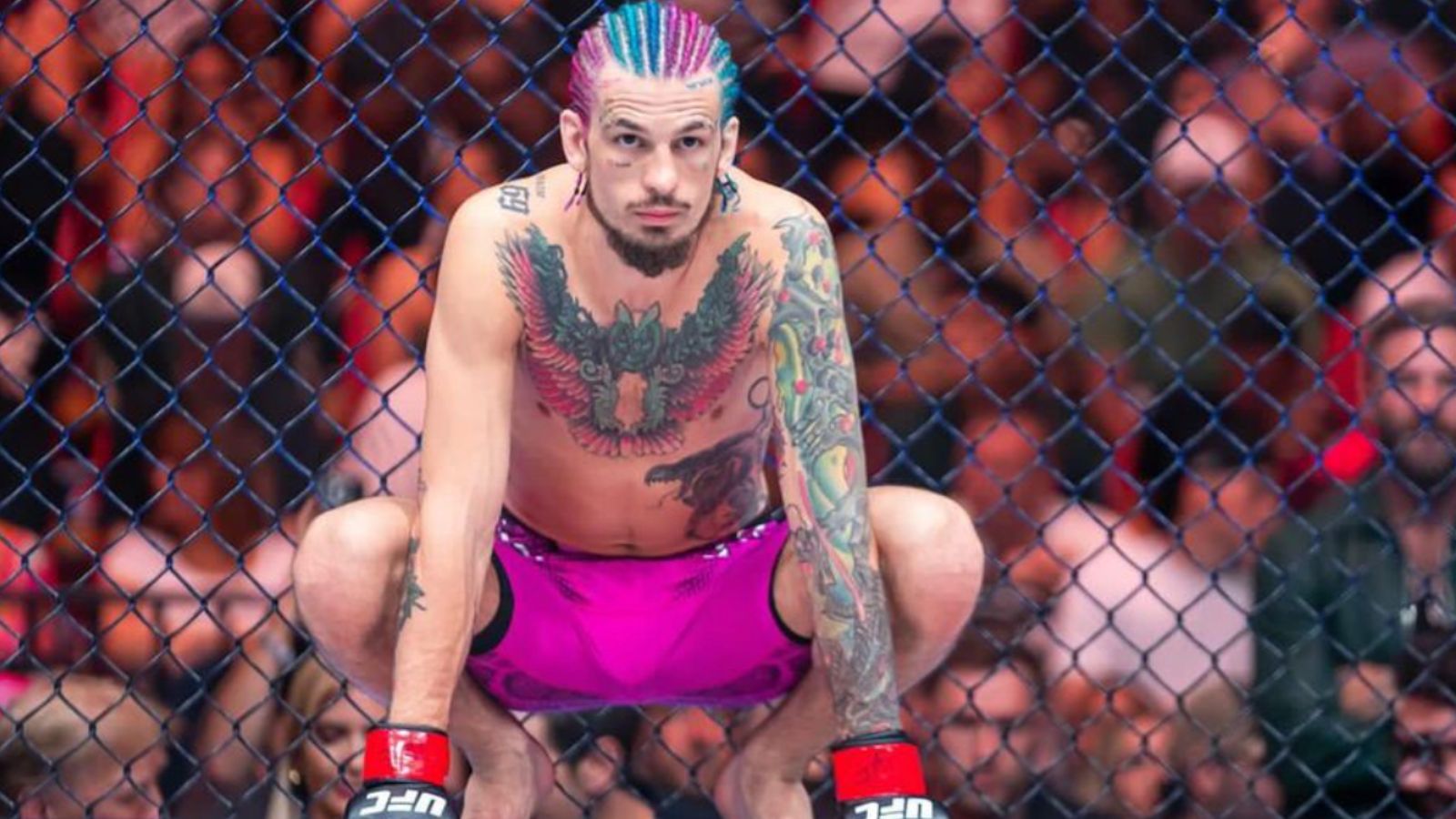 Sean O'Malley Is 'Still Sad' But Has 'Zero Excuses' For Losing To Merab
