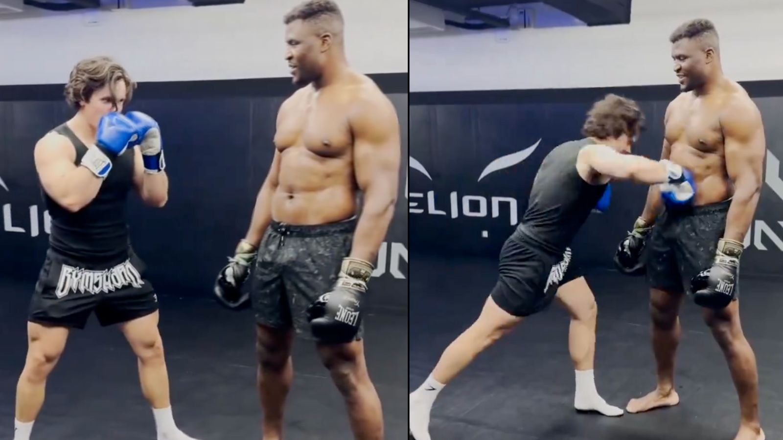 Francis Ngannou Hilariously Mocks Fitness Influencer While Taking Body