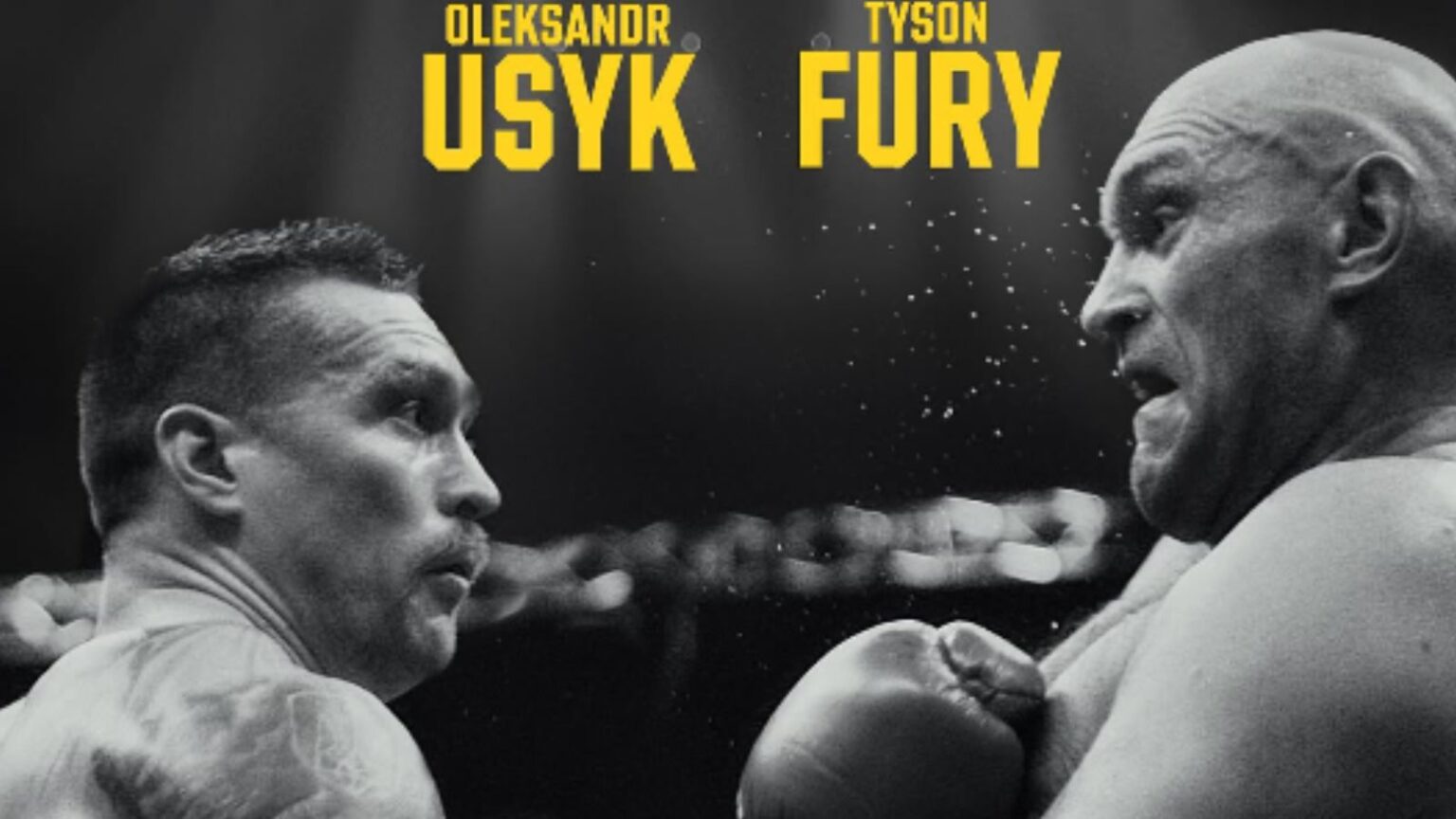 Usyk and fury have a rematch for heavyweight boxing titles in december