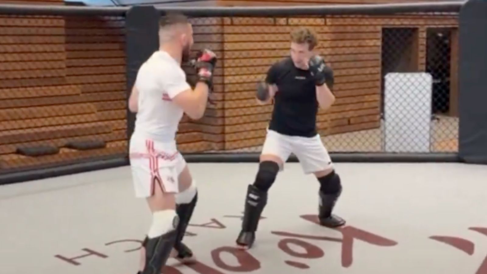 Video: Mark Zuckerberg Takes Part in Intense Sparring With Former UFC Champion Merab Dvalishvili