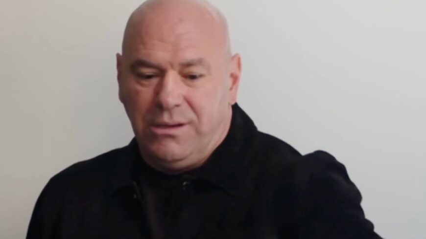 Dana White discusses gnats at Donald Trump Rose Garden dinner and UFC White House event concerns