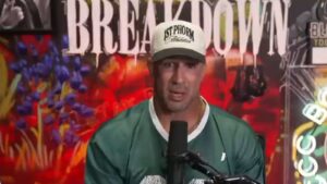 Brendan Schaub discusses Herb Dean on Big Brown Breakdown